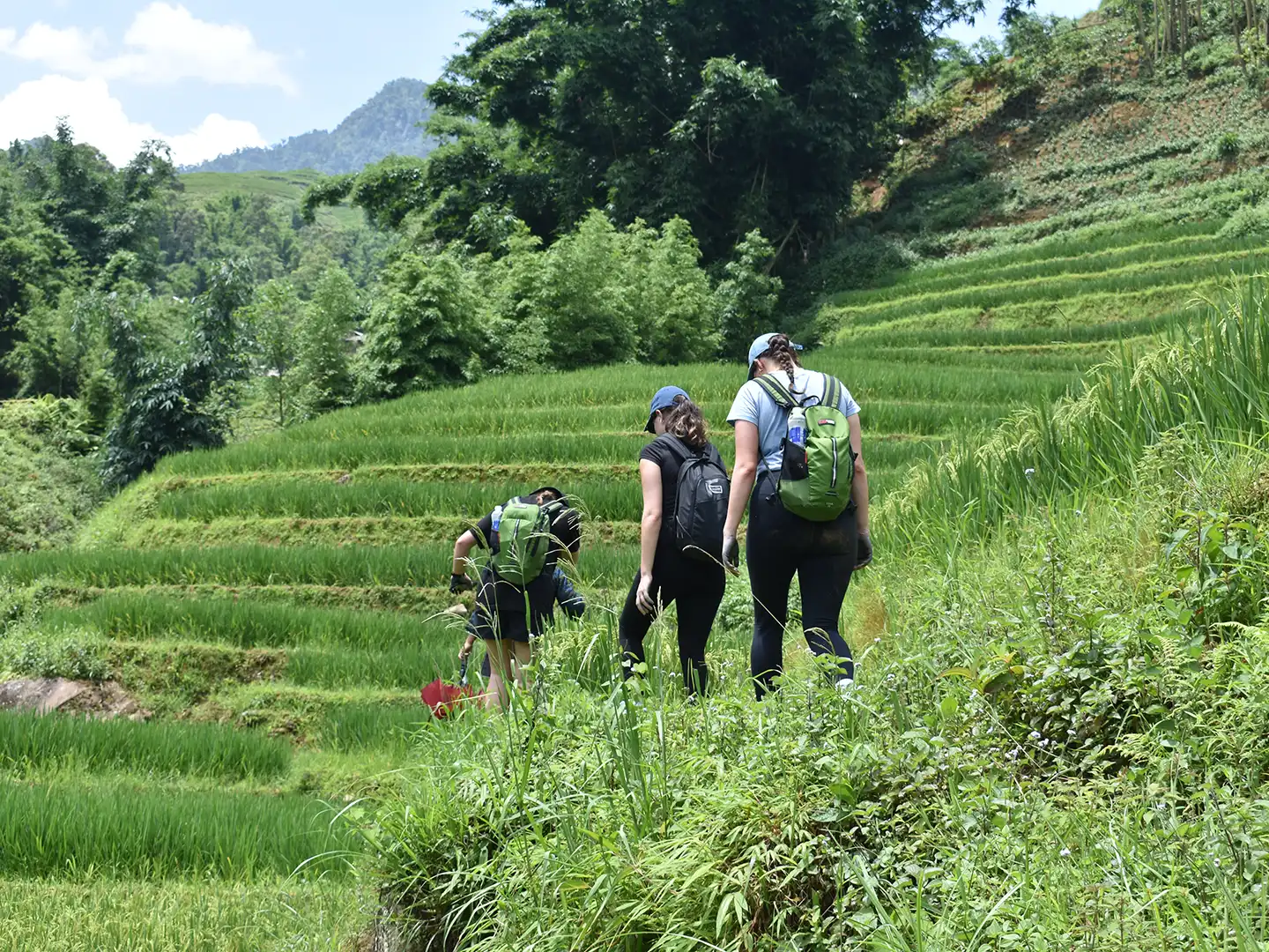 Trek Sapa Vietnam 6 Day Itinerary